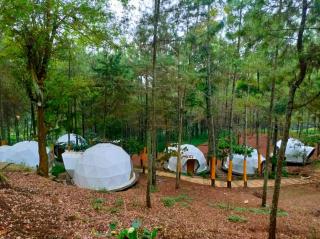 vanderman land camp - 7