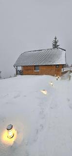 Brvnara “Vidik Breg” - 8