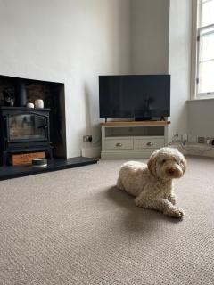 Light & Bright City Stay - Edimburgo - 0