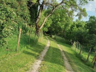 Le puech des Amandiers - 3