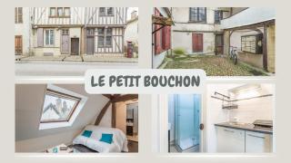 Le Petit Bouchon - Studio - Hypercentre - Troyes - 9