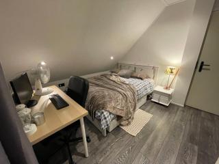 Luxury villa with private sauna and Jacuzzi in Holland - Drachten - 1