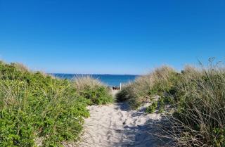 First Camp Grenen Strand - 8