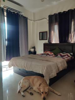 Pathak's 2BHK House, Pune - Pune - 4