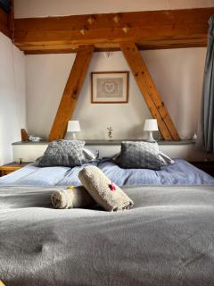 Central Hostel Chatel - Châtel - 5