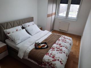 Apartman Stepe Stepanovica - 0
