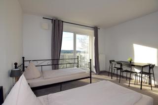 Appartements Robert 2 Suhl - Suhl - 8