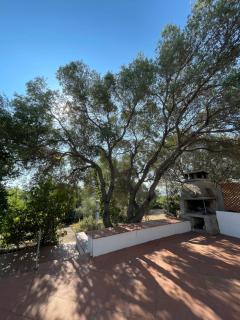 Villa Santa Maria - Marina di Orosei - 7
