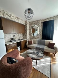 SABİHA GOKCEN İSTANBUL HOUSES Hotel - Istanbul - 9