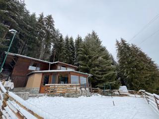 Villa Raiski kyt - Dospat - 8