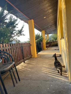 Gospodarstwo Agroturystyczne Bór - 9