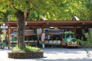 Happy Camp mobile homes in Camping Riccione - Riccione - 9