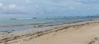 Blue House - Maceió - 5