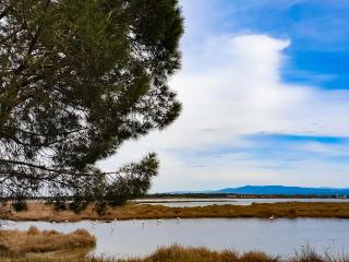 Happy Camp Mobile Homes in S'Ena Arrubia Camping Village - Arborea - 5