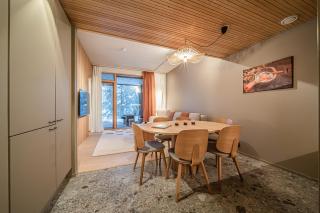 Aavalevi Auroras Gielas Chalet, Ski-In Ski-Out With Mountain View - Levi - 3