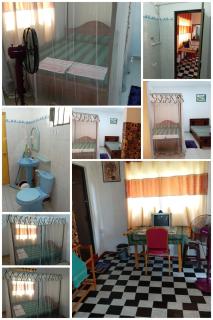 New Toropi Homestay - Gadaladeniya - 2