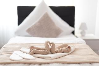 Lemsdorfer Apartments Magdeburg - 6