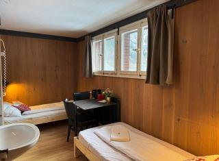 Hotel Hornerpub - Lauterbrunnen - 4