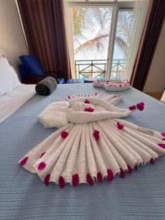 Mia Boutique Hotel - Michamvi Kae - 2