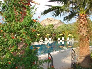Asur Apart & Villa Asur - Dalyan - 2