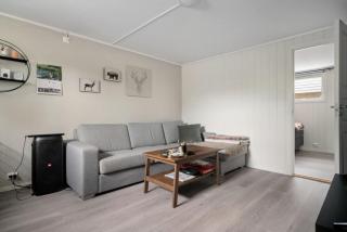 Koselig lelighet - Trondheim - 0