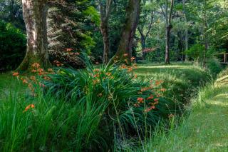 Parc de L'Aiguade - Saint-Paul-lès-Dax - 3