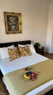 Elegant Getaway Cismigiu Park 3 Room Apartment - Bucharest - 9