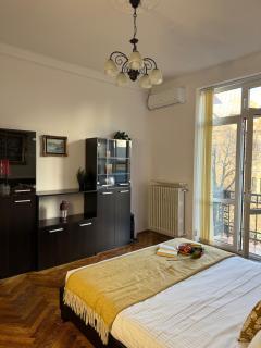 Elegant Getaway Cismigiu Park 3 Room Apartment - Bucharest - 7