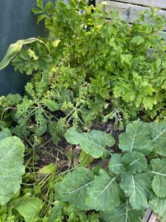 Sunset Studios Surf & Ocean view - 1