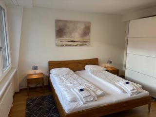 Cozy 1BR in popular Kreis 3 - West 11 - Zurigo - 1
