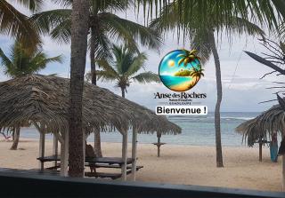 Votre Oasis Tropicale - 3