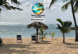 Votre Oasis Tropicale - 2