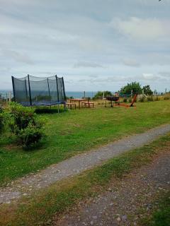 Cabaña entre árboles Carretera Austral - 4