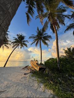 Arutha Resorts Ocho Lux by Eight Continents - Hanimaadhoo - 2