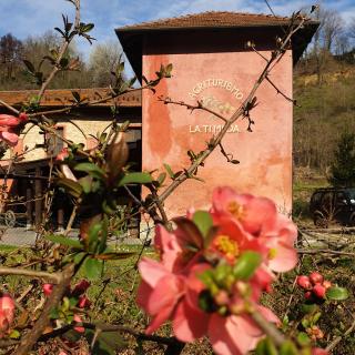 Agriturismo La.Ti.Mi.Da. - Cassine - 8