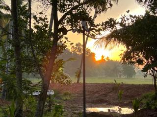 Peacock Villa - Minuwangoda - 0