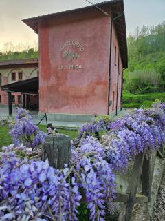 Agriturismo La.Ti.Mi.Da. - Cassine - 7