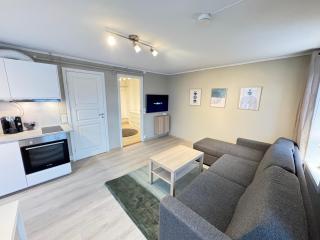 Romslig studioleilighet med utsikt over kongensgate - Trondheim - 6