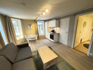 Romslig studioleilighet med utsikt over kongensgate - Trondheim - 8