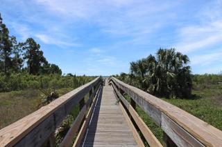 Club at Cape San Blas 2B by Pristine Properties - Indian Pass - 7