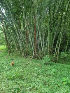 Finca La Carolina - 1