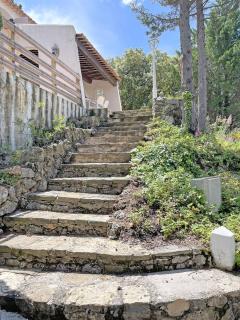 Villa Suzanne - maison provençale - Tourtour - 9