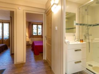 Appartement 2 chambres centre village proche pistes avec Wifi - FR-1-437-60 - La Clusaz - 3