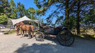 Wheal Tor Hotel & Glamping - 9