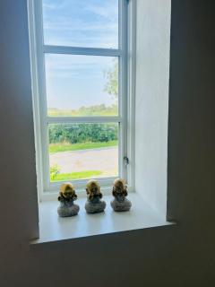 Traumhaftes Apartment im EG vor Sylt - 7