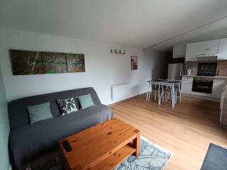 LA FALAISE - Quiet T3 apartment with private parking - Caucalières - 8