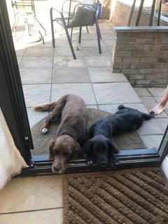 Lovely Garden room - 5