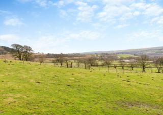 Laverock Lodge - Middleton in Teesdale - 7