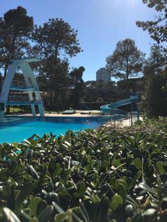 Apartamento parada 16 playa mansa Punta del Este - Punta del Este - 3
