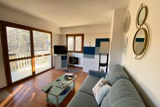06CO beautiful apartment at the foot of the slopes with balcony - Valberg - 5